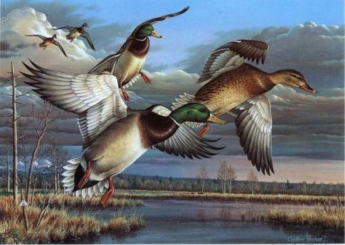 Peintures de : Cynthie Fisher