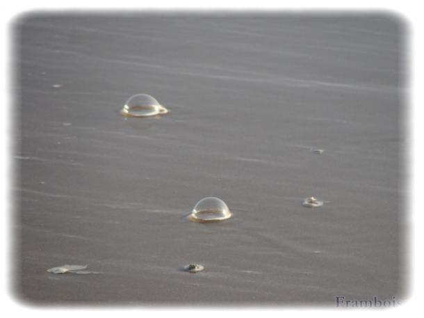 L'écume de la vague ...