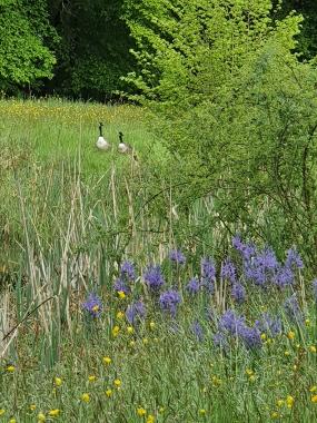 La passion des plantes à St Jean de Beauregard