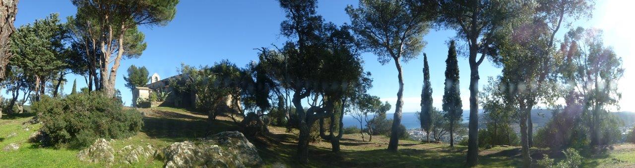 BORMES LES MIMOSAS : le reportage ! 