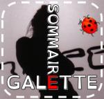 J'aime la galette, Martine Bourre - PS - Etablir une correspondance terme à terme