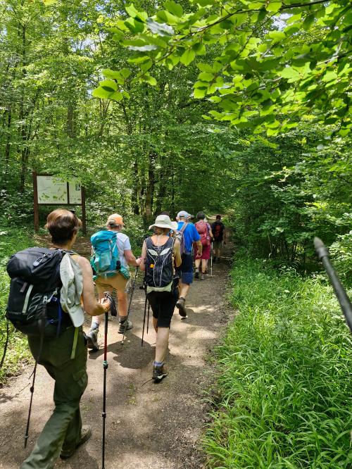"Le long du Ru Blanc" - Mercredi 17 juillet 2024