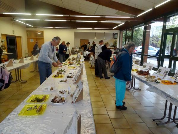 Le congrès National de Mycologie s'est poursuivi par des conférences...