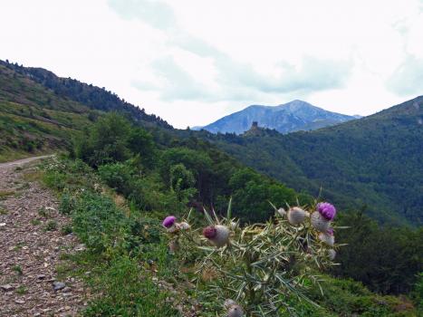 Sur les hauteurs d'une vallée âpre - Le Tour du Vallespir - Etape 1 : Amélie-les-Bains - Batère - 21,3 kms.