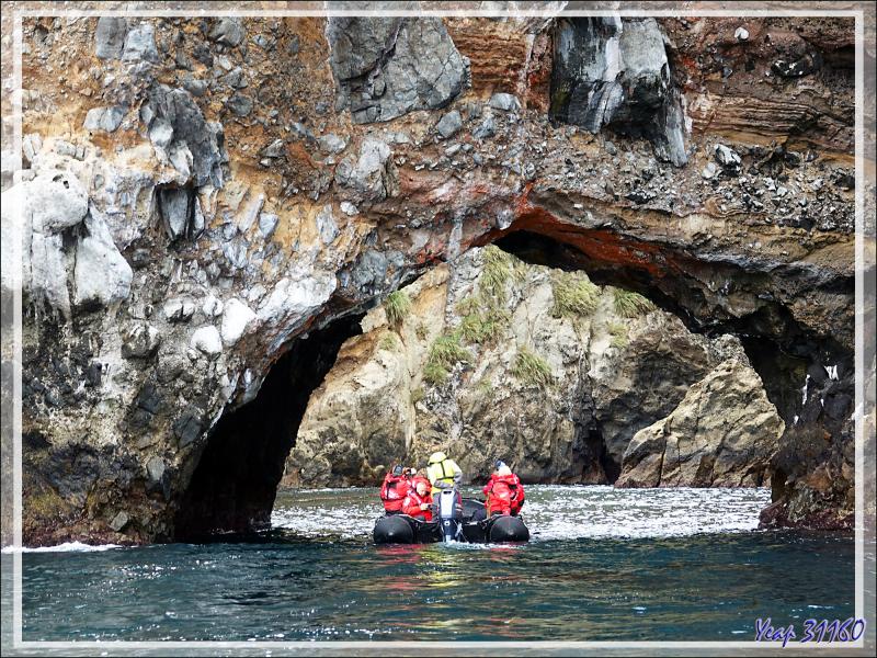 Dernières falaises, dernières grottes ...  - Nightingale Island - Tristan da Cunha