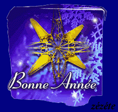 Vendredi senryû, haïku bonne année...