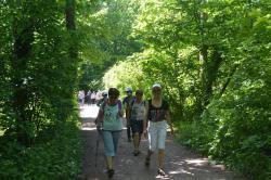 La balade du 1er juin à Mondeville
