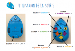 La programmation informatique au cycle 2
