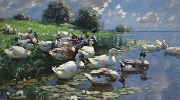 Mercredi - Alexander Koester, le peintre des canards
