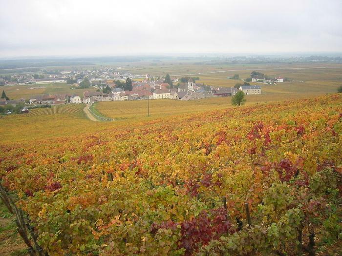 Département de la Côte d'Or