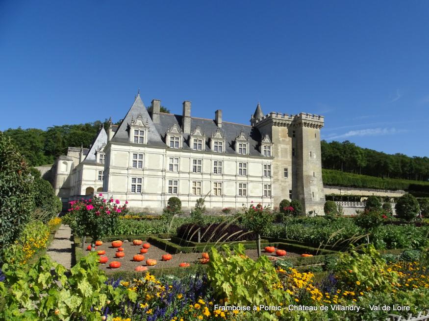 Château et Jardins de Villandry - Val de Loire  1/2