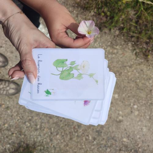 carte postale herbier 