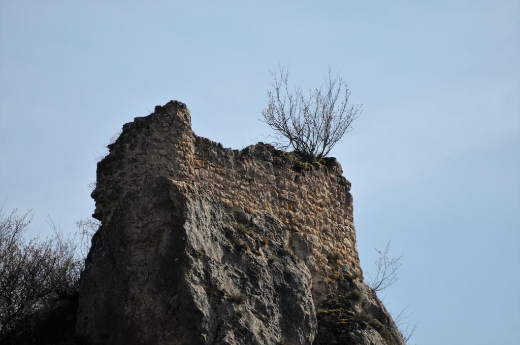 Sur la route des vautours...suite !