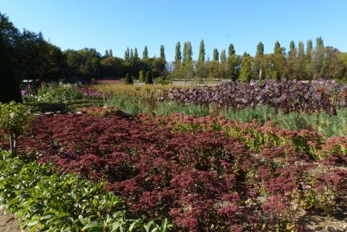 Merveilleux jardin :