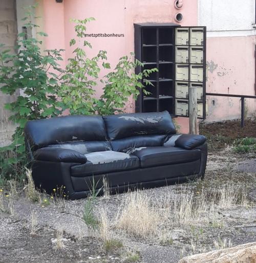 ...des "insolites" de juillet, ça vous dit?