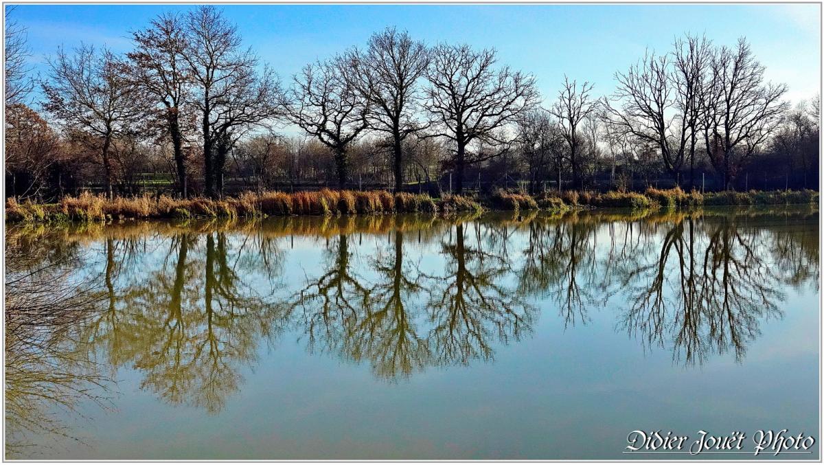85 . Vendée - La Chaize le Vicomte (26) - Etang communal
