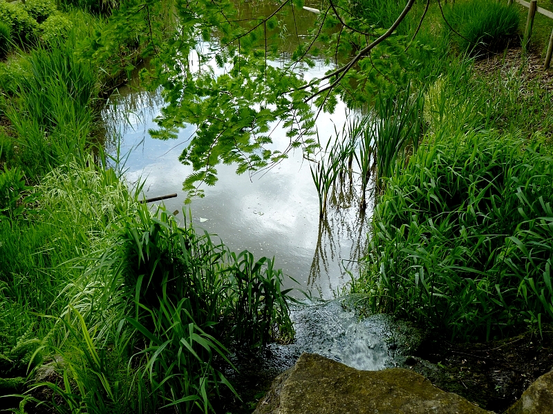 Metz / Un printemps Ying et Yang...