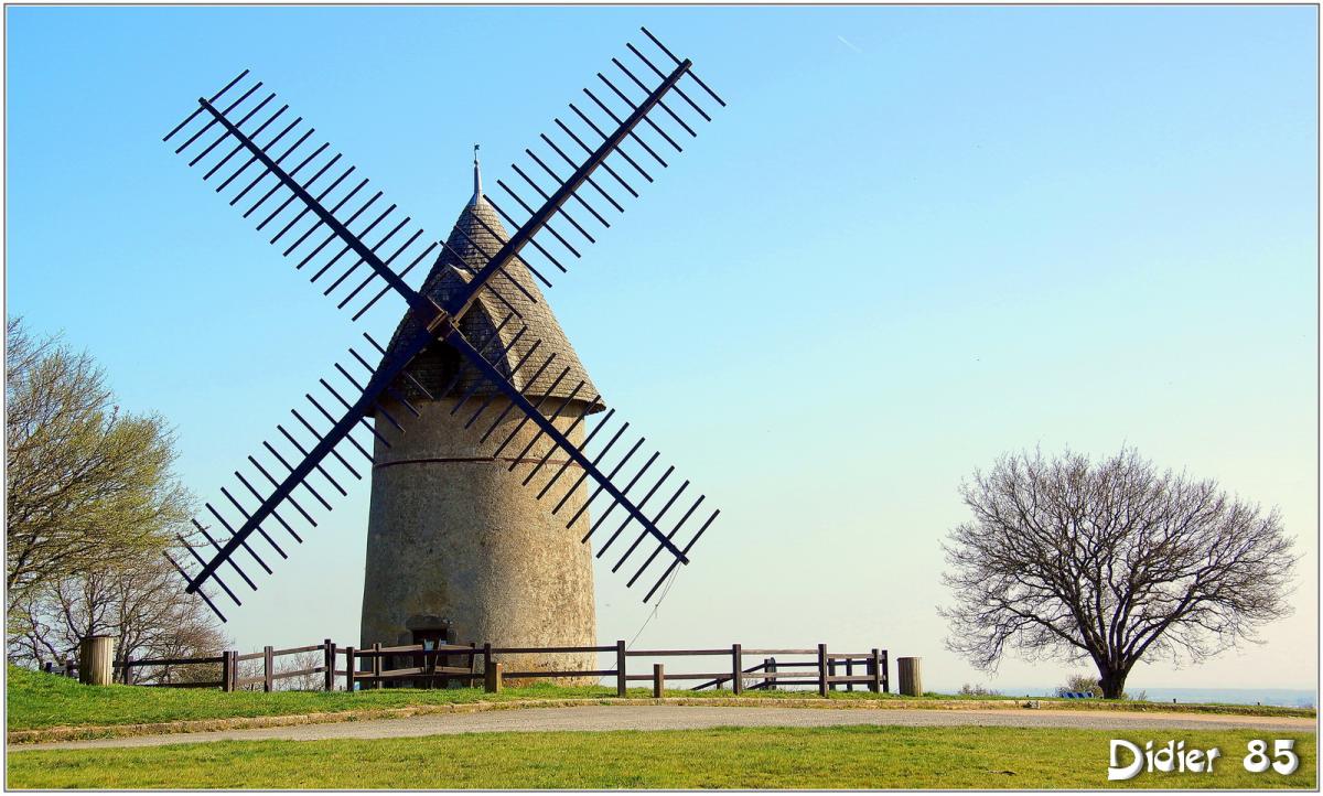 (85) Vendée - Les Herbiers (3) - Mont des Alouettes / Moulin