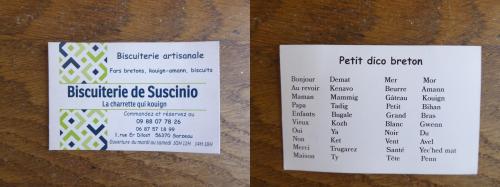 Séjour à Arzon, Morbihan (56), journée du 19 mai Château de Suscinio