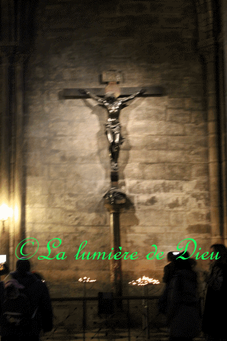 La cathédrale Notre-Dame de Paris