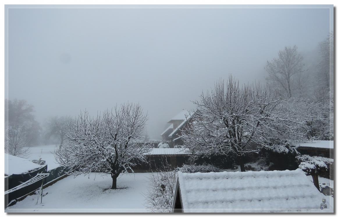 PREMIERES  NEIGE  EN  PLAINE  SAVOYARDE  2020