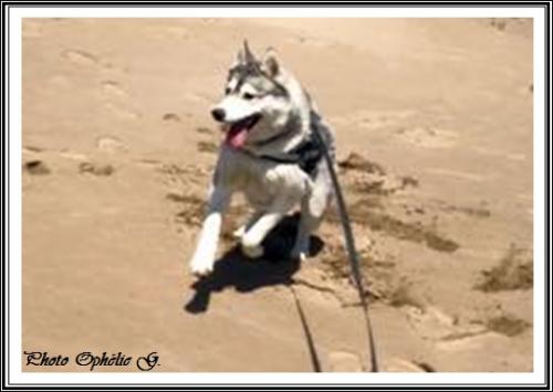 Inooky (3 ans)