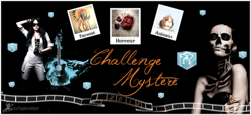 Le challenge mystère 2017