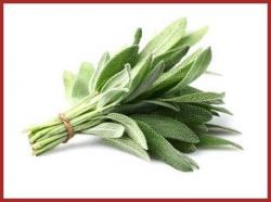 Utilisation des Aromates.