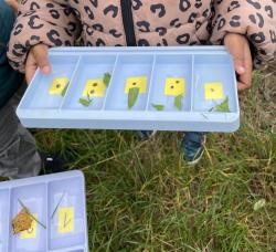Chasse aux trésors et numération