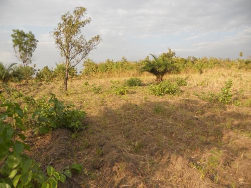 Le terrain enfin trouvé
