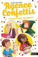 Agence confettis tome 6- Chasse aux énigmes