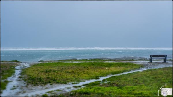 Avis de Tempête !