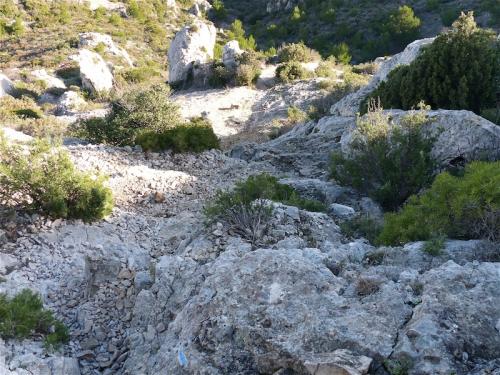 Titou Ninou et Malvallon