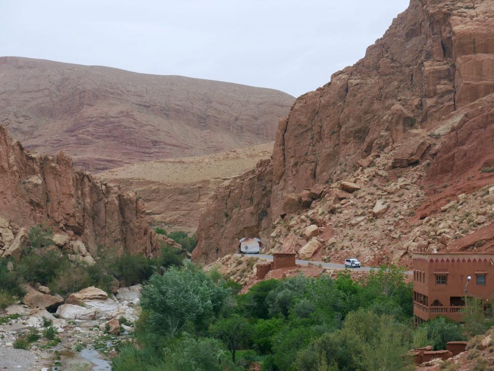 Bou Tharar - Tabant (1) 