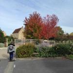 La balade du 17 octobre à Douvres-la-Délivrande