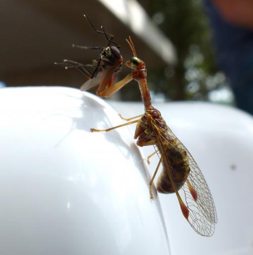 La loi de la nature: