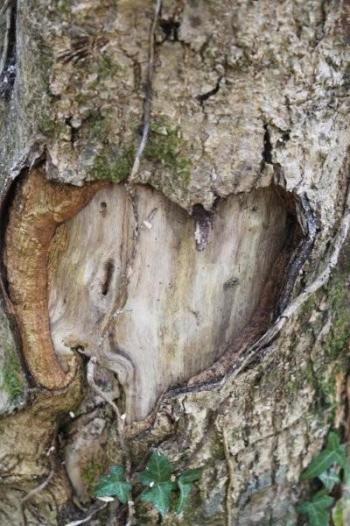 Viaduc de Daoulas (34)