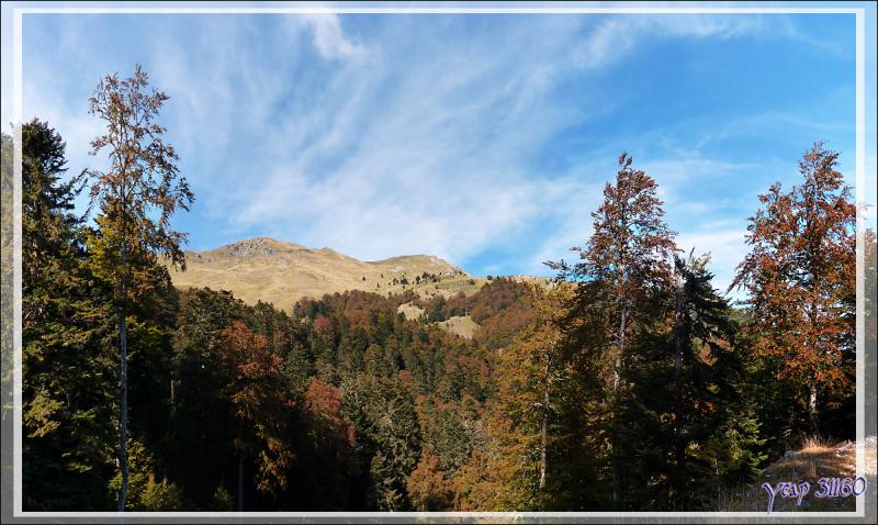 Le Cagire (1911 m) avec les premières couleurs d'automne comme on n'a pas l'habitude de le voir - Sengouagnet - 31