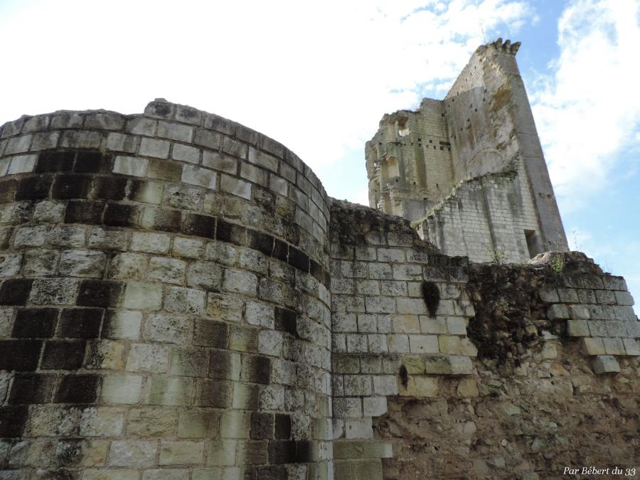 Le Grand Pressigny dept 37 (2)
