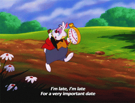 Les sorties du Lapin blanc: Voyage à Disneyland pour mes 20 ans !