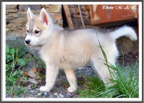 Lucky (2 mois)