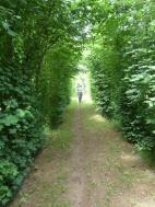 La randonnée du 19 juin à Saint-Germain-le-Vasson