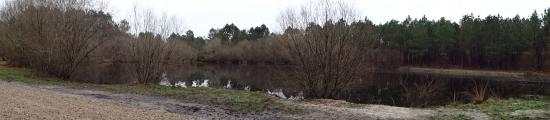 CR / RANDO 15 / ST-MEDARD-EN-JALLES