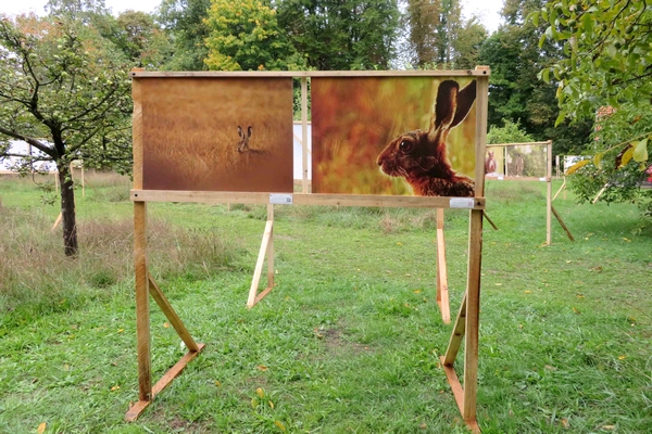 Une exposition de photographies aux Villas du Parc à Vanvey