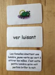 Le centre de Lecture 