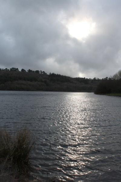 Au lac du Drennec (6)
