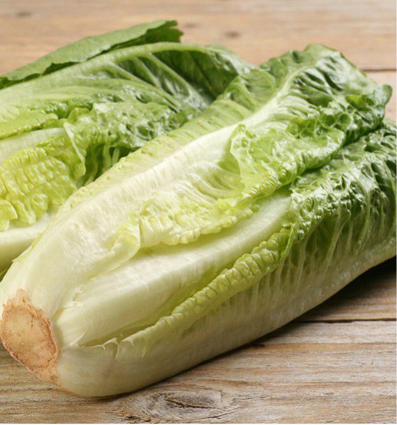 Légumes du mois de Juillet