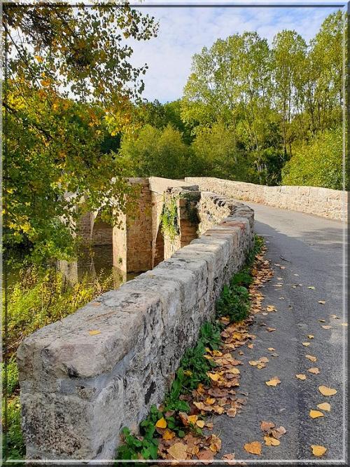 964 - Virée dans le Tarn et Garonne et plus - Au pied de Najac (12) !