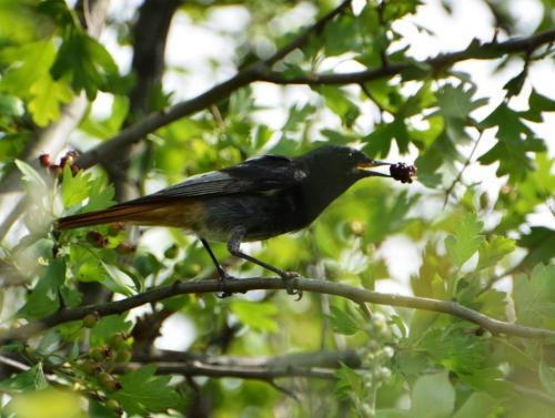 Randonnée "Au fil de l'eau" à Ners