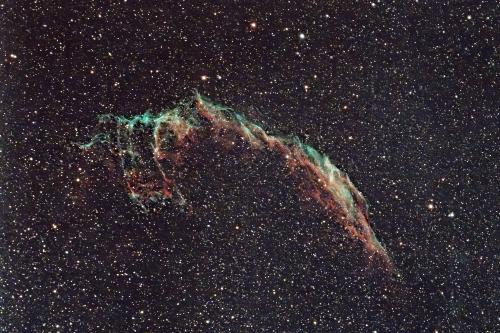 2020-08-18 Grandes dentelles du Cygne